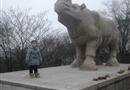 吴文化公园20120117